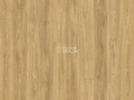 Линолеум IVC Porto Sauder oak w40 фото 1 | FLOORDEALER